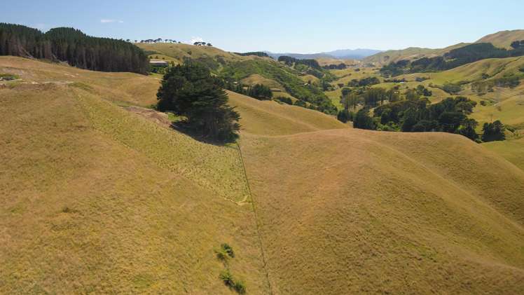 281 Takapu Road Takapu Valley_3