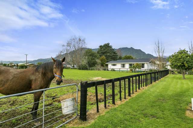 40 Racecourse Road Te Aroha_2