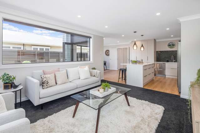 74b Rotherham Terrace Miramar_4