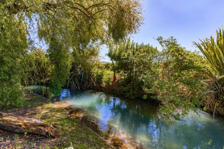 45 Blicks Road Renwick_60