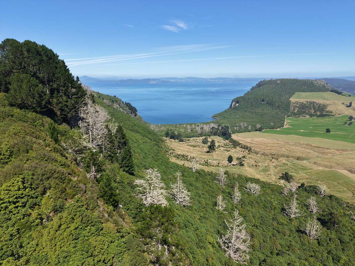 146 Highland Drive_1