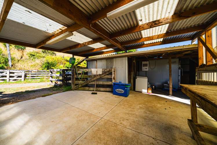 38A Atkinson Road Hurworth_13