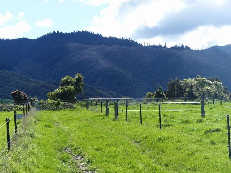 Whitneys Road Waimate_7