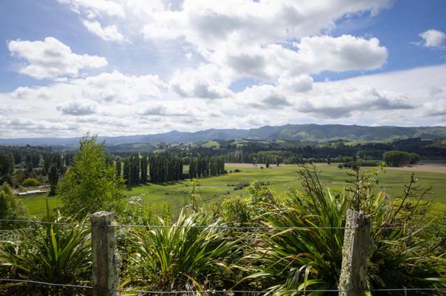 1195a Pohangina Road Pohangina_1