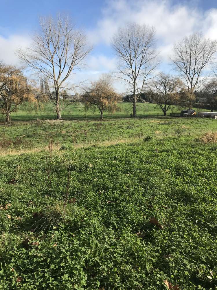 233a Raynes Road Rukuhia_2