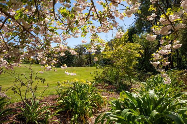 137 Thorp Street Motueka_6