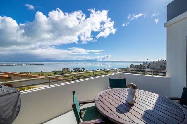 26 Walters Bluff Atawhai_1