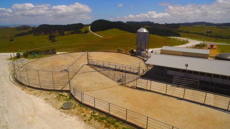 801 Burma Road Tapora_5