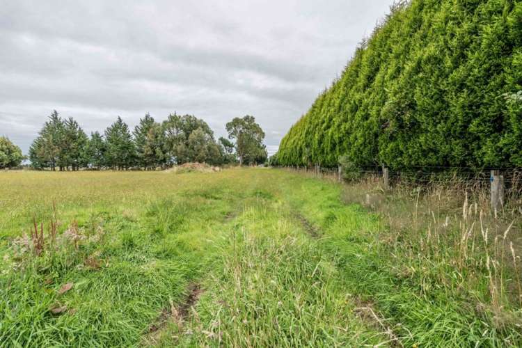 7 Watt Road Otatara_25