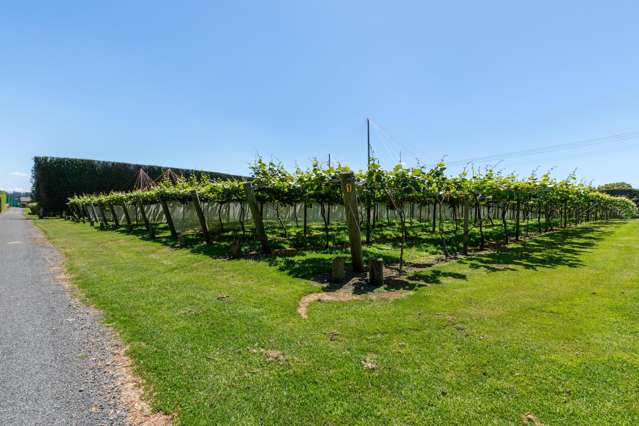 154B Wairoa Road Te Puna_4