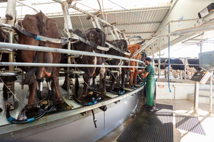 Alexandra Road Waharoa_8