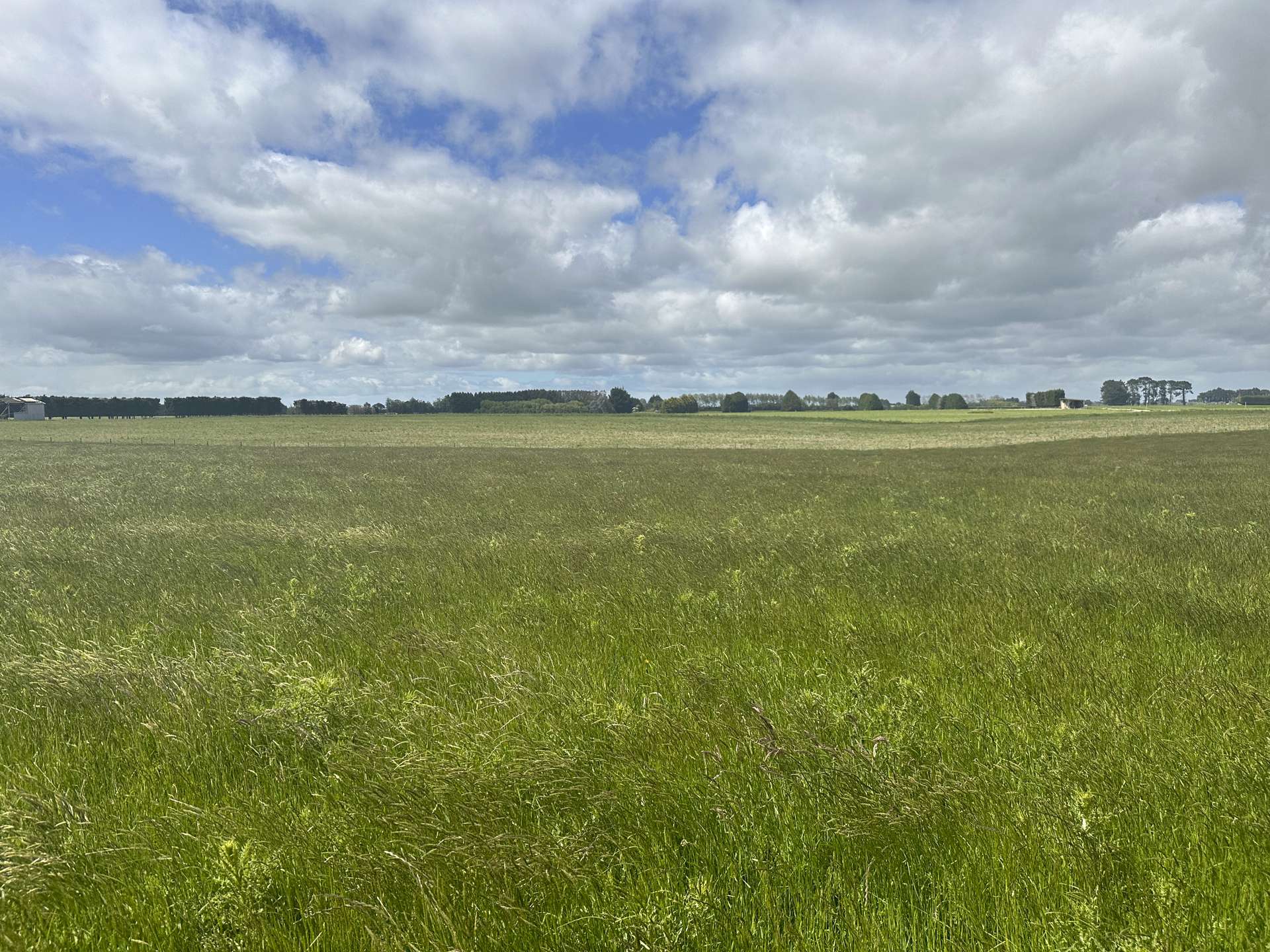 . Woodlands Morton Mains Road Woodlands_0