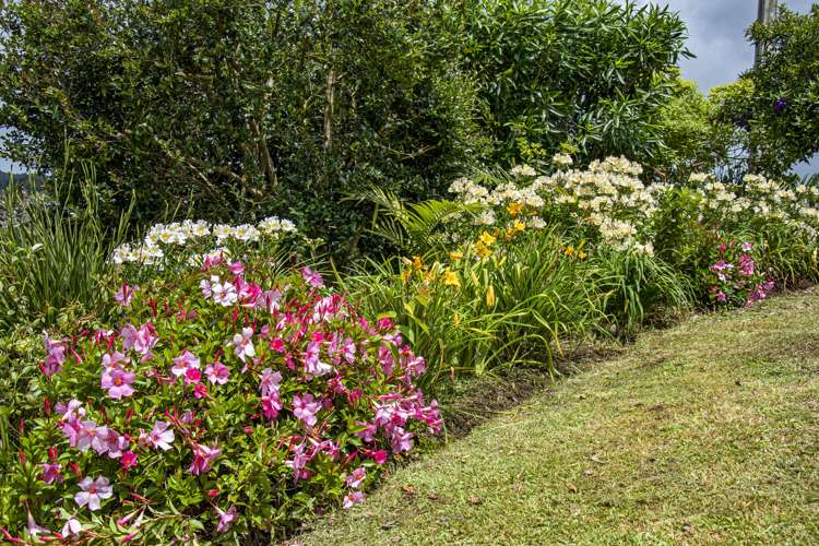 52 Walker Crescent Whau Valley_25