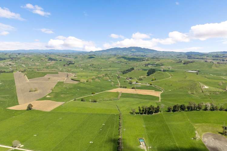 58 Nicholson Road Piarere_15