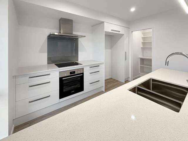 131 Ed Hillary Drive 11103_1