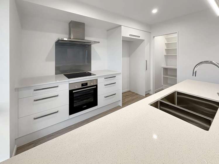 131 Ed Hillary Drive 11103_1