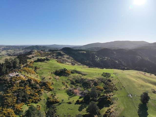 121 Silverstream Valley Road North Taieri_3