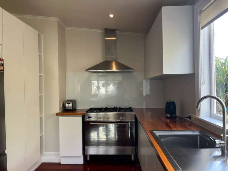 122 Williamson Avenue Grey Lynn_17