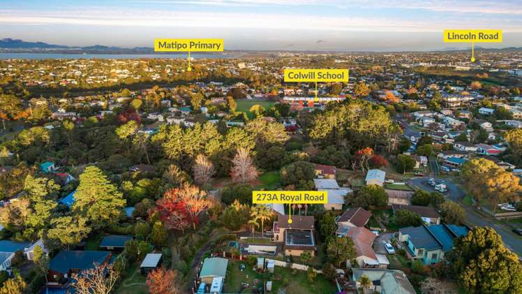 273A Royal Road Massey_22