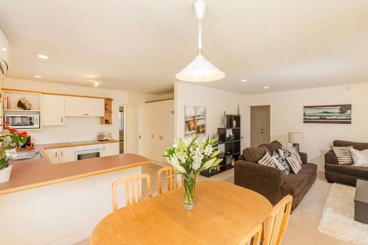 75a Greenpark Road Penrose_10