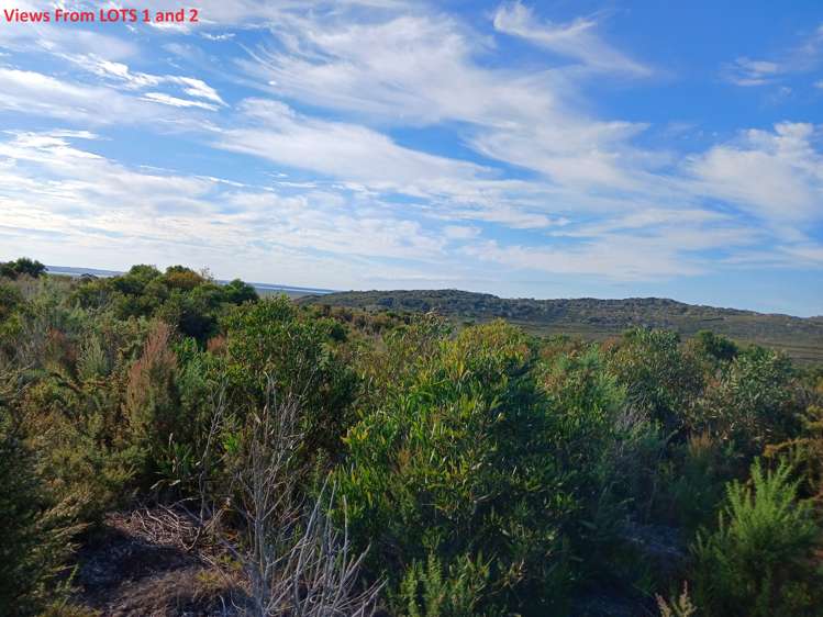 1/2 Tahanga Road Lake Ohia_17