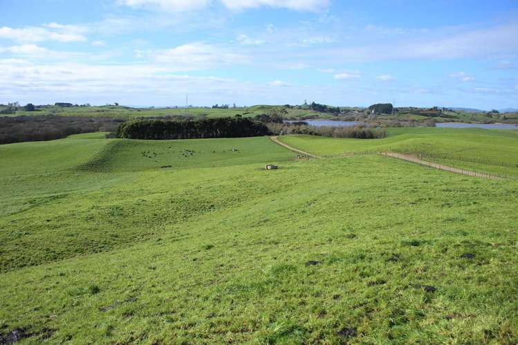 310 Ginn Road Huntly_19