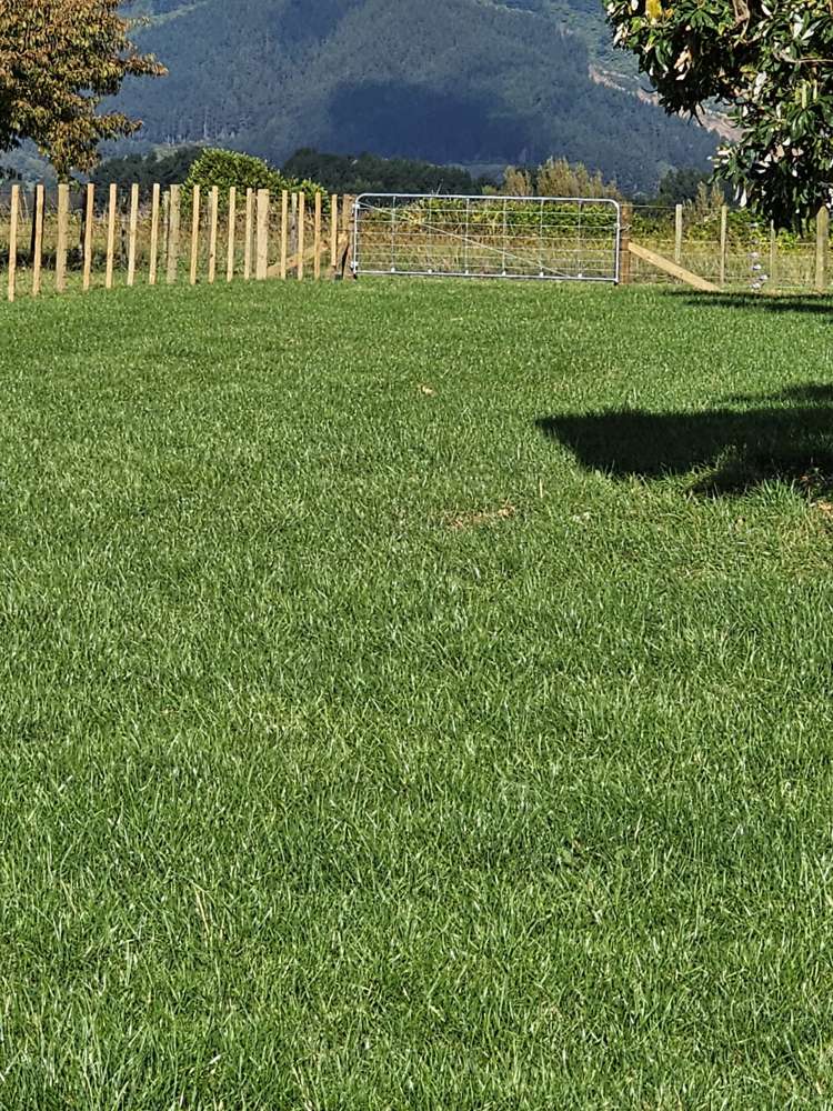 147 Koputaroa Road Levin_13