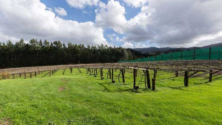 237a Busby Road Hauraki Surrounds_18