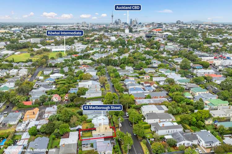 43 Marlborough Street Mt Eden_10