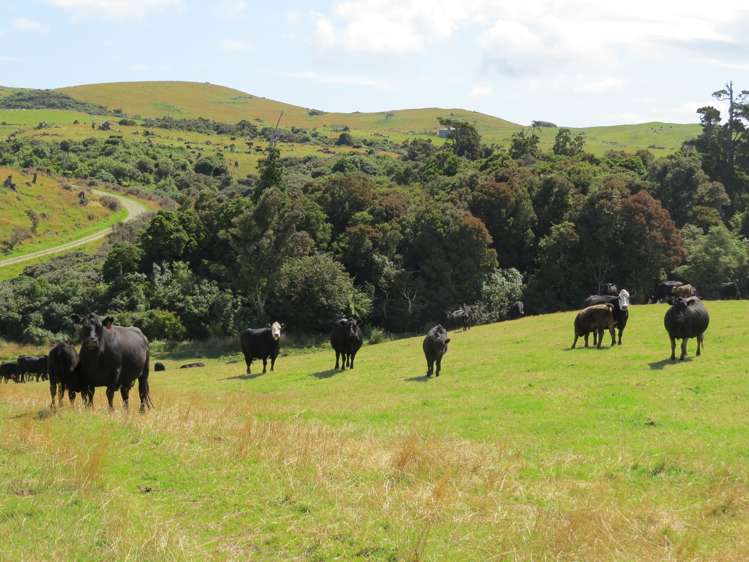 15 Bell Road Taumarunui_21