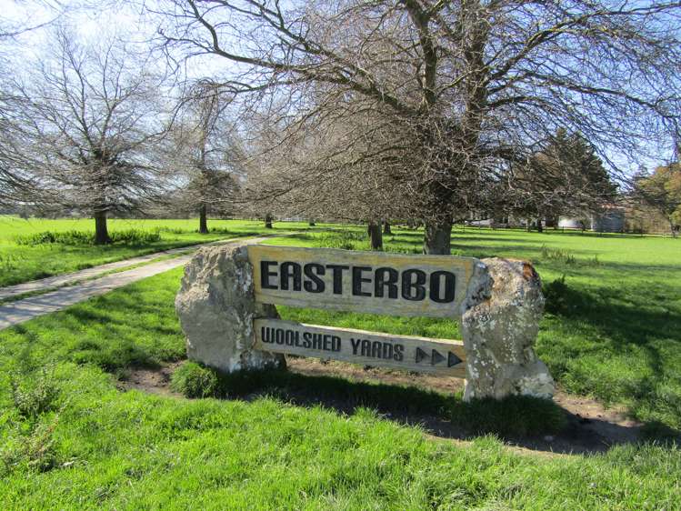 575 East Taratahi Road Carterton_19