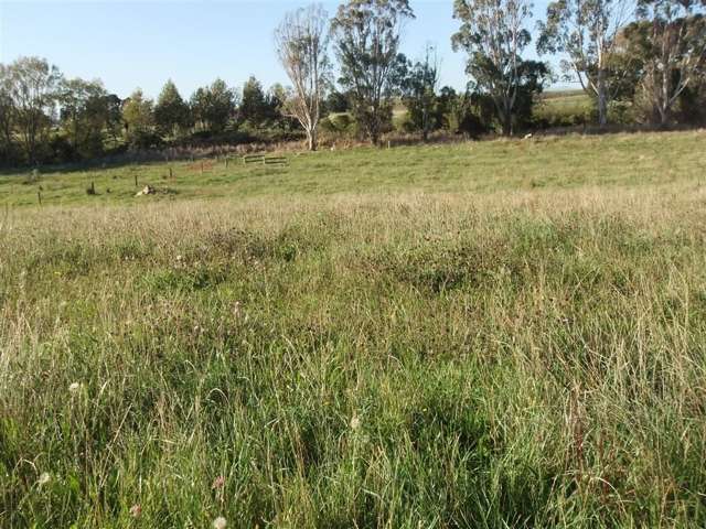 41 Grand Street Shannon_2