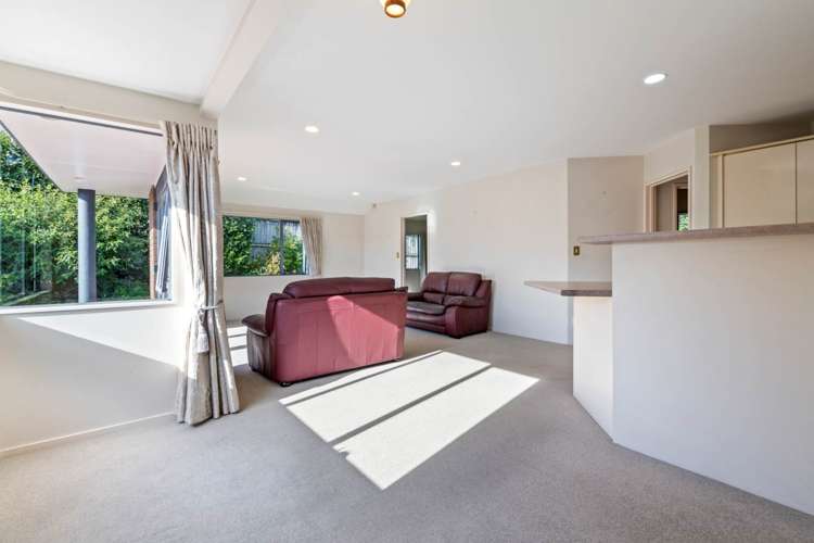 13 Palmgreen Court Stanmore Bay_7