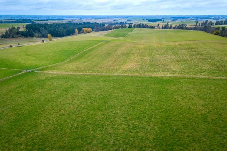 55 Dinda Road Waitohi_6