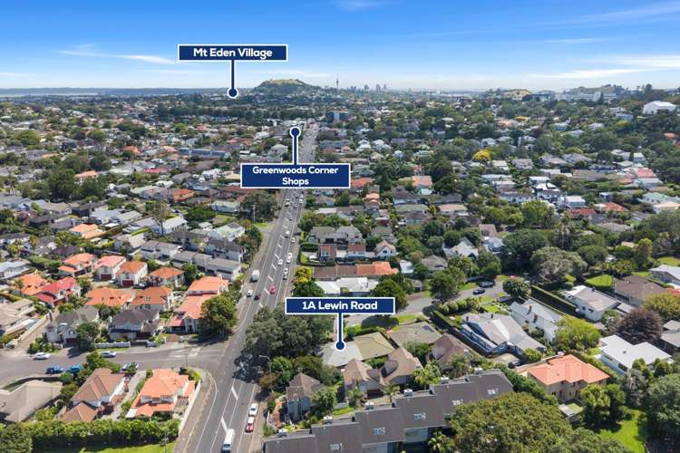 1A Lewin Road Epsom_19