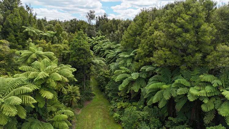 1669 Pyes Pa Road Oropi_20