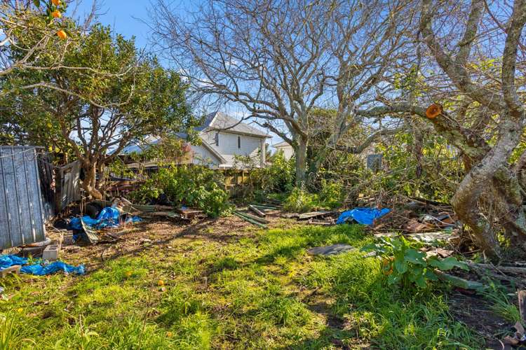 20 Holly Street Avondale_19