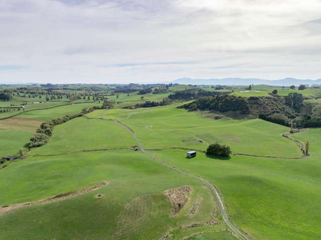 231A Morgan Road Matamata_4