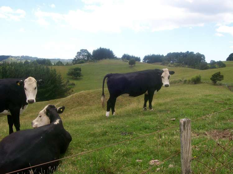 86 Brookby Road Brookby_13