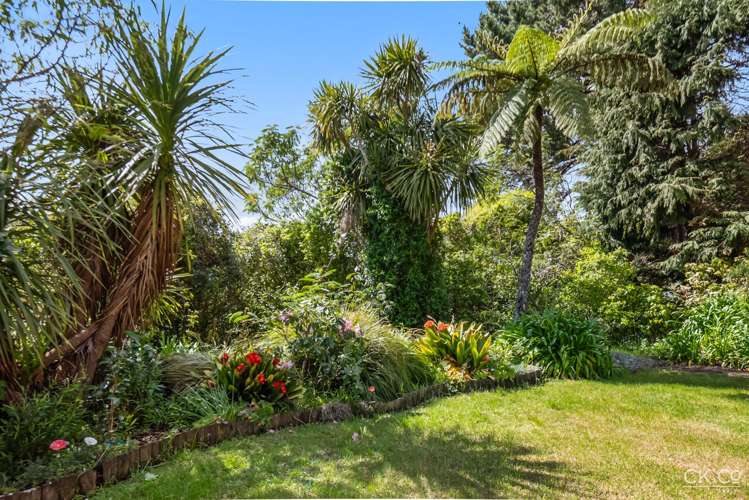 121 Park Road Belmont_18