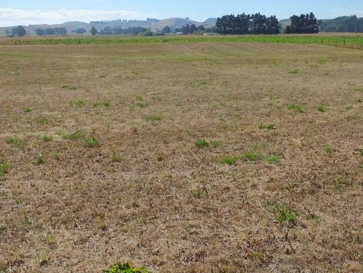 294 Parsons Road Weston_7