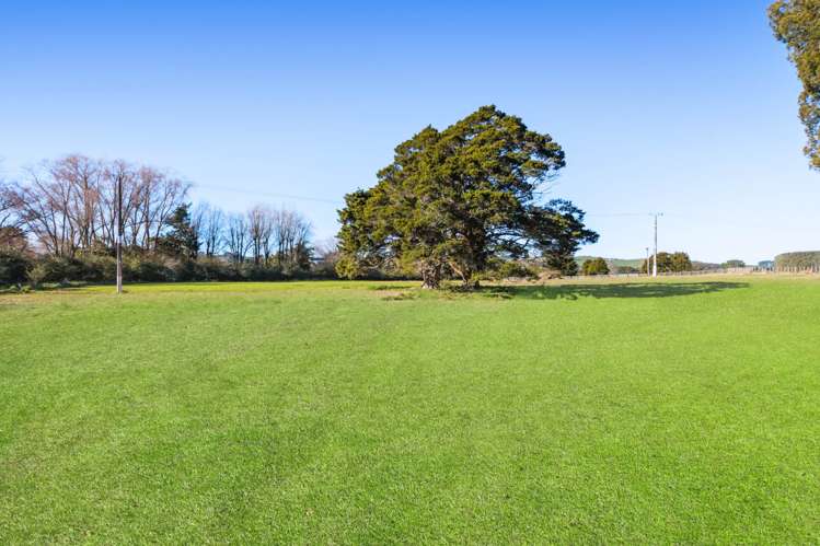 81 McKenzie Road_5