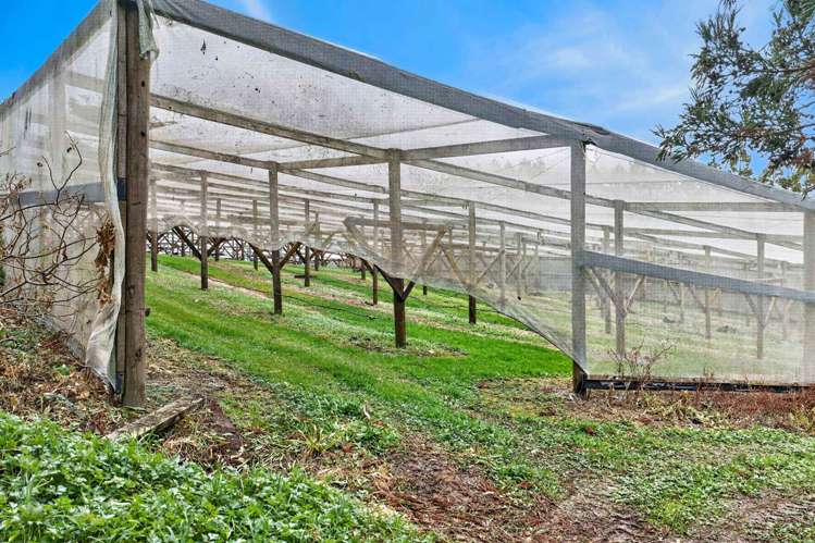 Lot 1/69a Vineyard Lane Mangawhai_8