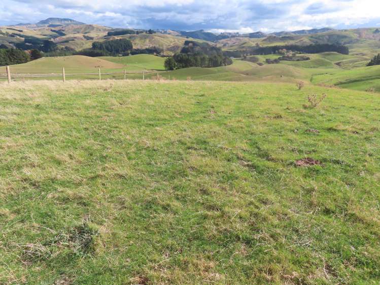 129 Speedy Road Dannevirke_12