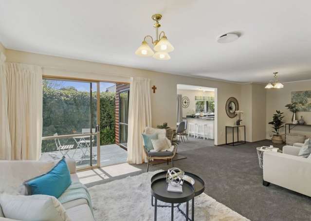 131A Waterloo Road Hutt Central_1