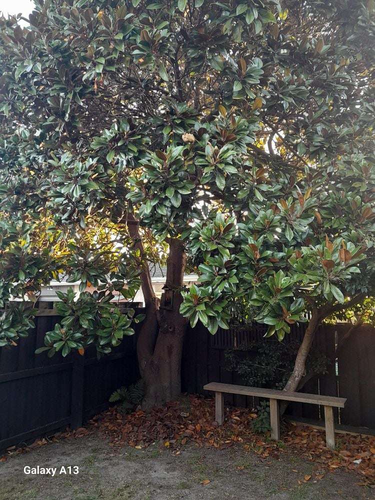 34B Mountbatten Street New Brighton_19