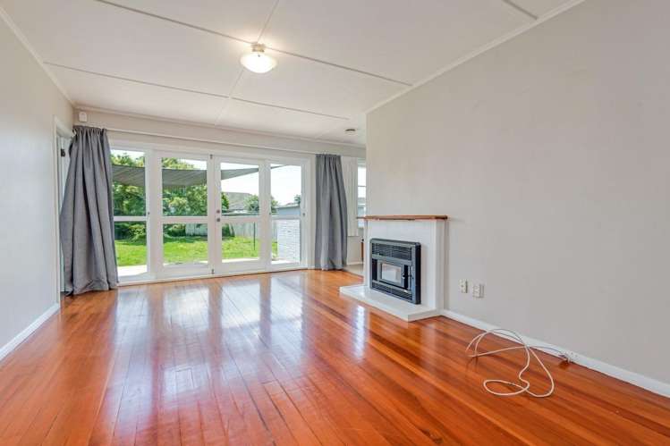 41 Rangiora Avenue Roslyn_3