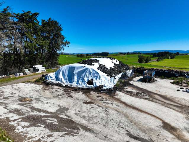 10 Roy Road Clutha_4