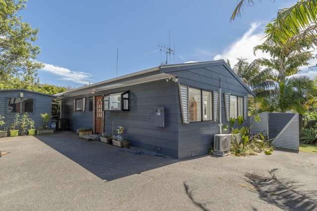 36a Judea Road Judea_3