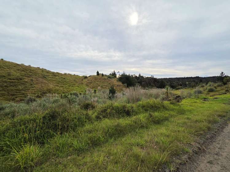 Wilson Road South Head_2